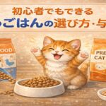 初心者でもできる猫のごはんの選び方・与え方