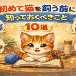 初めて猫を飼う前に知っておくべきこと１０選