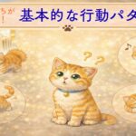 猫の気持ちが分かる！基本的な行動パターン