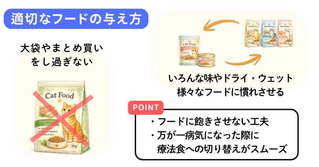 適切なフードの与え方のポイント